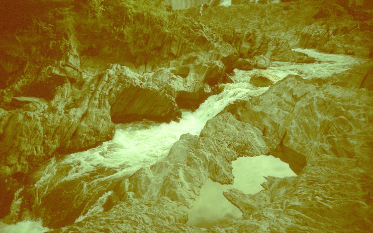 xprorocks1 xprorocks1