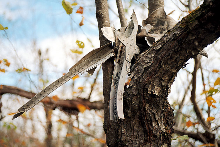 planecrash1 moose mountain plane crash